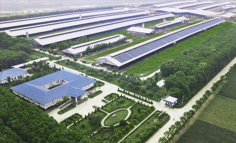 Hình ảnh minh họa hành trình phát triển và xây dựng thương hiệu Vinamilk, từ những ngày đầu đến vị thế hiện tại